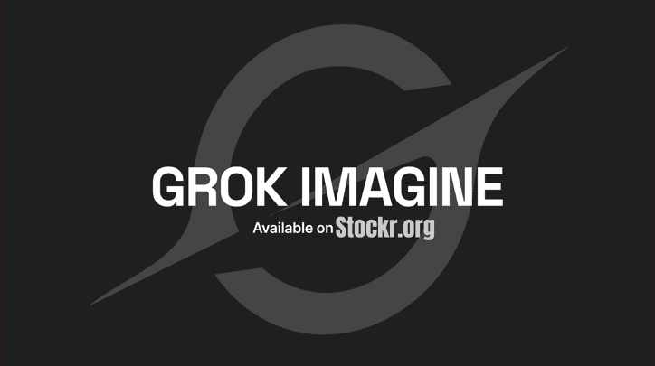 Grok 想象专业账户